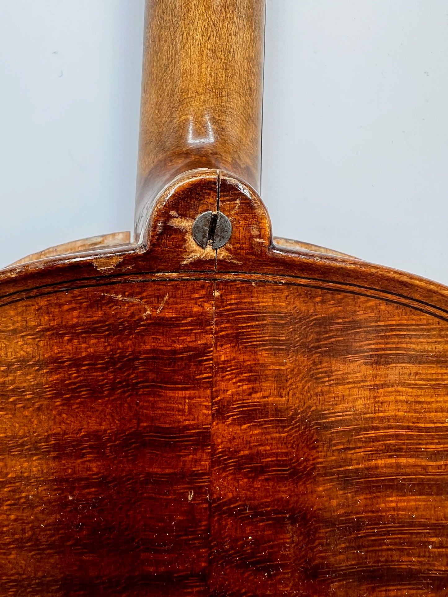 Antonius Stradivarius Cremonensis Viool (Faciebat Anno 1713)