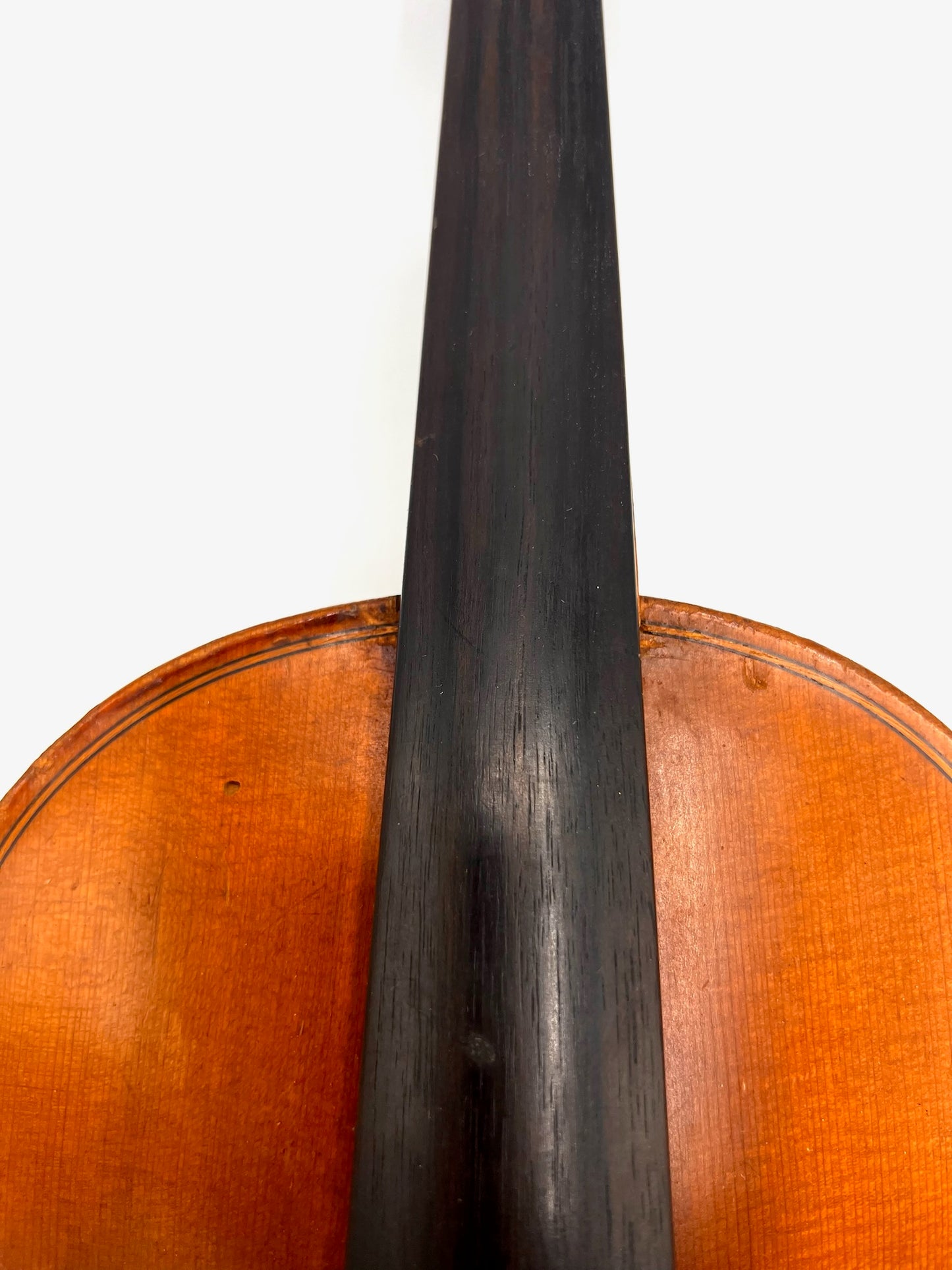 Antonius Stradivarius Cremonensis Viool (Faciebat Anno 1713)