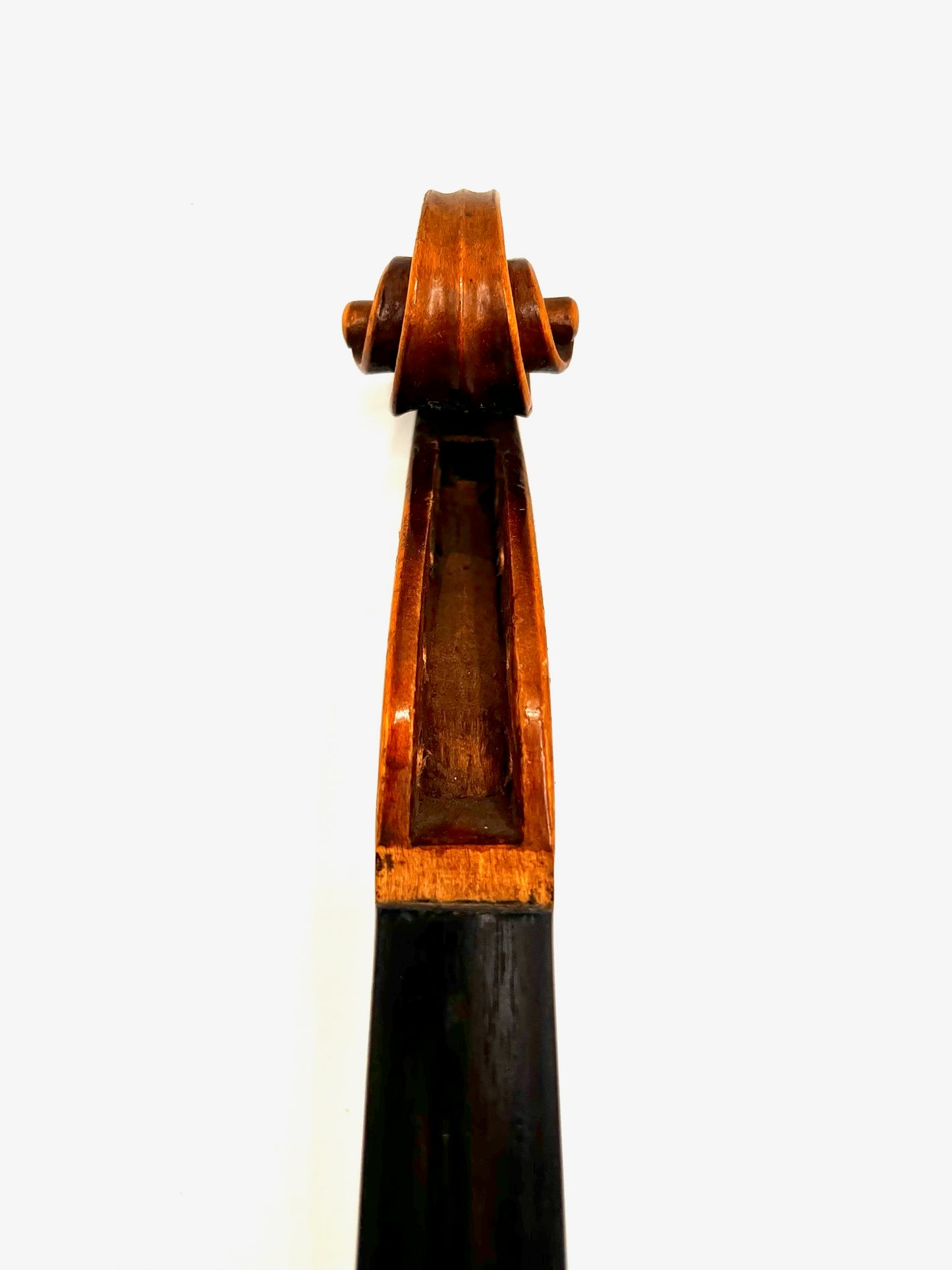 Antonius Stradivarius Cremonensis Viool (Faciebat Anno 1713)