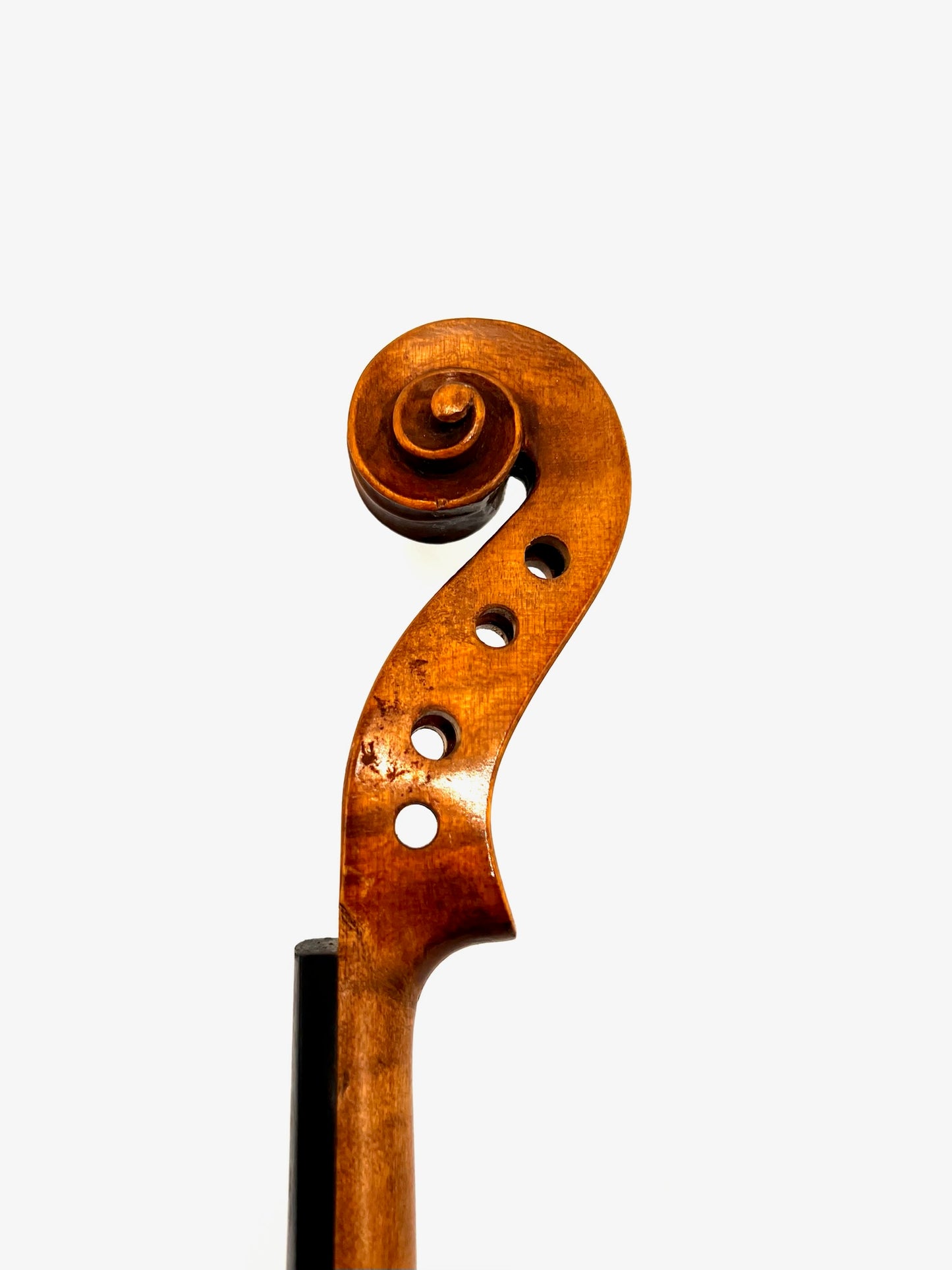 Antonius Stradivarius Cremonensis Viool (Faciebat Anno 1713)
